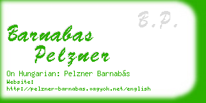 barnabas pelzner business card